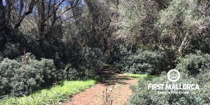 Inmobiliaria picture 4 Ref. Nº. 80515