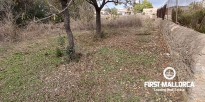 Real Estates picture 2 Ref. Nr. 80596