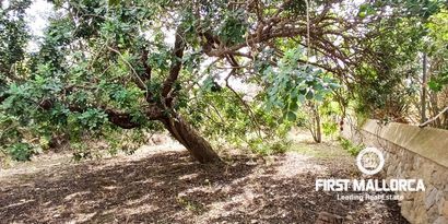 Real Estates picture 0 Ref. Nr. 80596