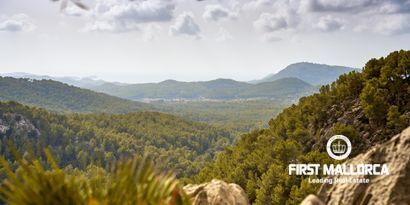 Immobilien picture 4 Ref. Nr. 78475