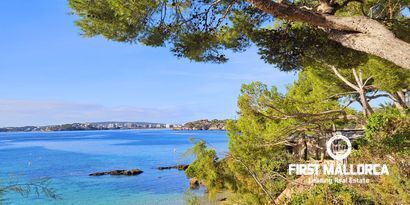 Real Estates picture 11 Ref. R19451