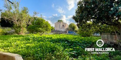 Inmobiliaria picture 1 Ref. Nº. 80654