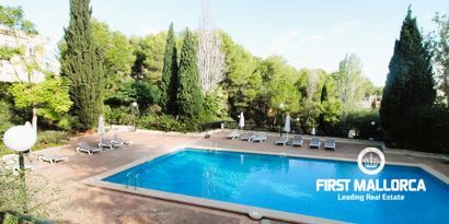 Real Estates picture 1 Ref. 80348