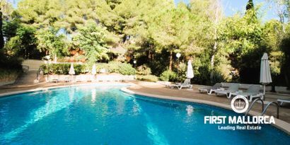 Real Estates picture 0 Ref. 80348