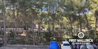 Inmobiliaria picture 12 Ref. Nº. 79783
