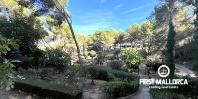 Inmobiliaria picture 11 Ref. Nº. 79783