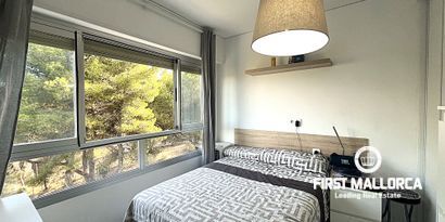 Inmobiliaria picture 7 Ref. Nº. 79783
