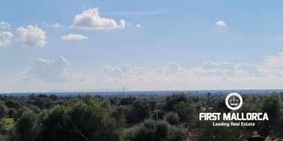 Immobilien picture 18 Ref. Nr. 80593