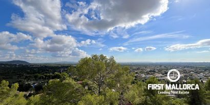 Inmobiliaria picture 26 Ref. Nº. R26659