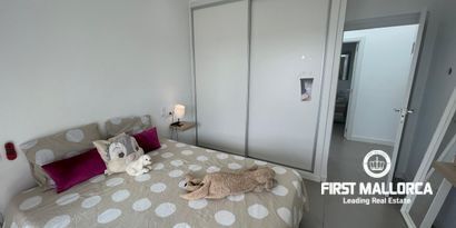 Inmobiliaria picture 15 Ref. Nº. 80714