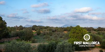 Real Estates picture 32 Ref. R26579