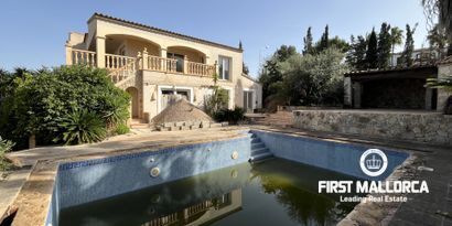 Inmobiliaria picture 4 Ref. Nº. 73350