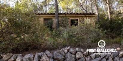 Real Estates picture 21 Ref. Nr. 80677