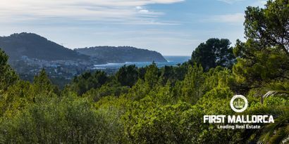 Real Estates picture 2 Ref. Nr. 80677