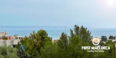 Real Estates picture 3 Ref. Nr. 80754