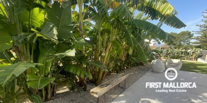 Immobilien picture 9 Ref. Nr. R26697