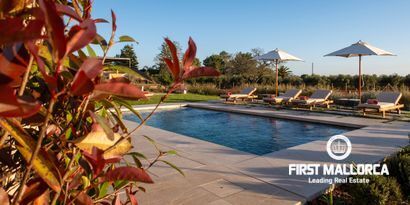 Inmobiliaria picture 28 Ref. Nº. 80723