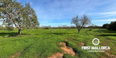 Real Estates picture 9 Ref. Nr. 80801