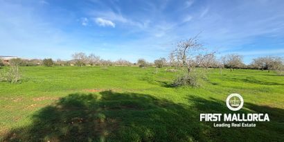 Real Estates picture 10 Ref. Nr. 80801