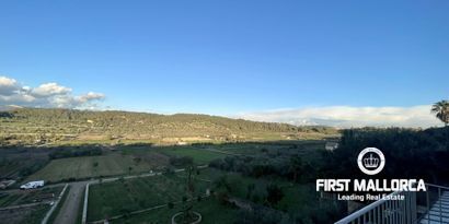 Real Estates picture 1 Ref. 80414