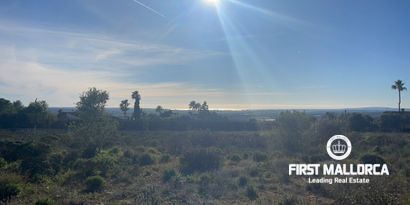 Real Estates picture 4 Ref. Nr. 80808