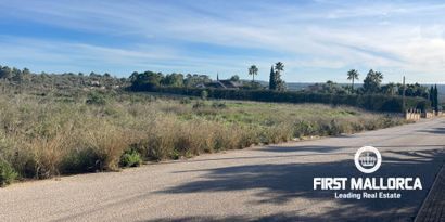 Real Estates picture 1 Ref. Nr. 80808