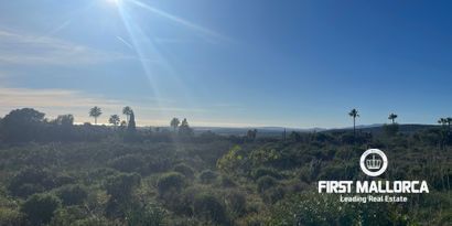 Real Estates picture 0 Ref. Nr. 80808