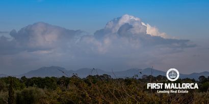 Inmobiliaria picture 13 Ref. Nº. 80541