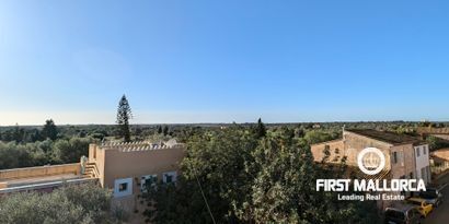 Inmobiliaria picture 10 Ref. Nº. 76738