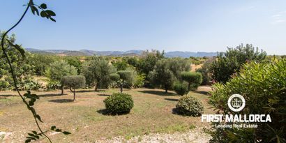 Real Estates picture 12 Ref. Nr. R26784