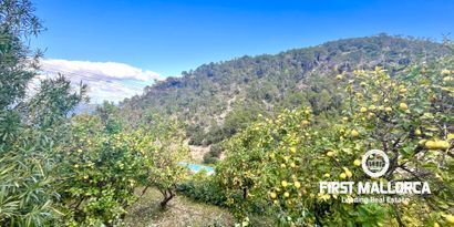 Inmobiliaria picture 35 Ref. Nº. R26750