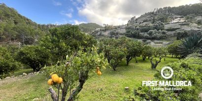 Inmobiliaria picture 4 Ref. Nº. R26750