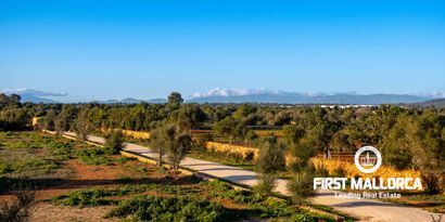 Immobilien picture 17 Ref. Nr. 80850
