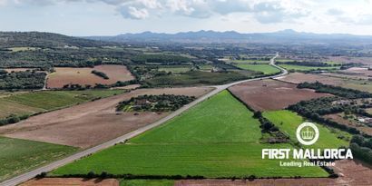 Inmobiliaria picture 7 Ref. Nº. 80829