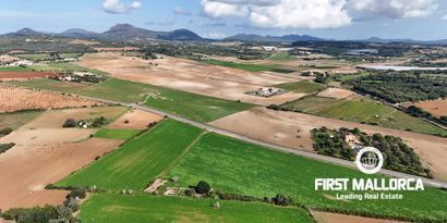 Inmobiliaria picture 8 Ref. Nº. 80829