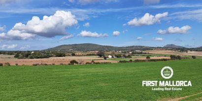 Inmobiliaria picture 9 Ref. Nº. 80829