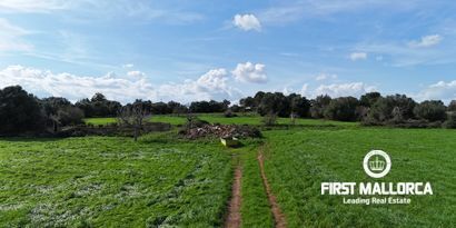 Inmobiliaria picture 10 Ref. Nº. 80829