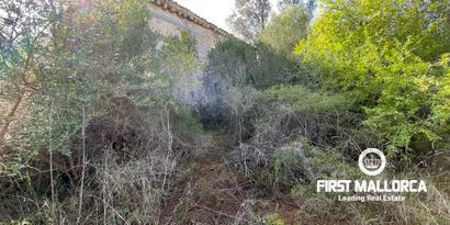 Inmobiliaria picture 15 Ref. Nº. 80821