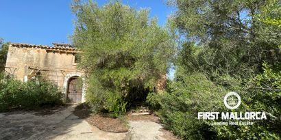 Inmobiliaria picture 16 Ref. Nº. 80821