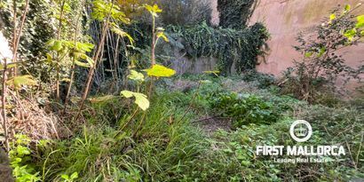 Inmobiliaria picture 0 Ref. Nº. 80775