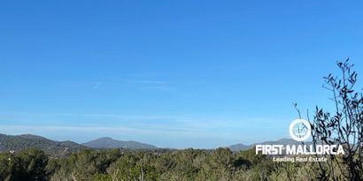 Real Estates picture 4 Ref. Nr. 80924