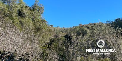 Real Estates picture 6 Ref. Nr. 80924