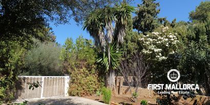 Inmobiliaria picture 1 Ref. Nº. 80926