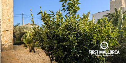 Real Estates picture 18 Ref. Nr. 80997