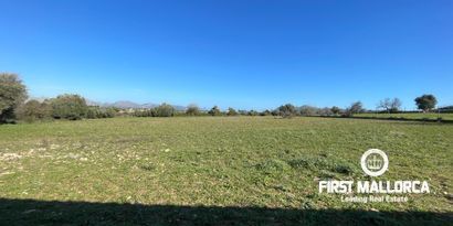Immobilien picture 2 Ref. Nr. R26983
