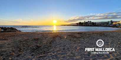 Inmobiliaria picture 1 Ref. Nº. 81034