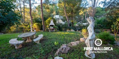 Inmobiliaria picture 4 Ref. Nº. 80984