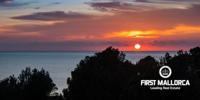 Inmobiliaria picture 22 Ref. Nº. 80984