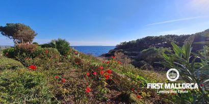 Real Estates picture 4 Ref. Nr. R27071