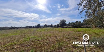 Real Estates picture 2 Ref. 81037